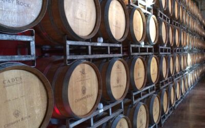 Quelle est la formation nécessaire pour devenir sommelier ?
